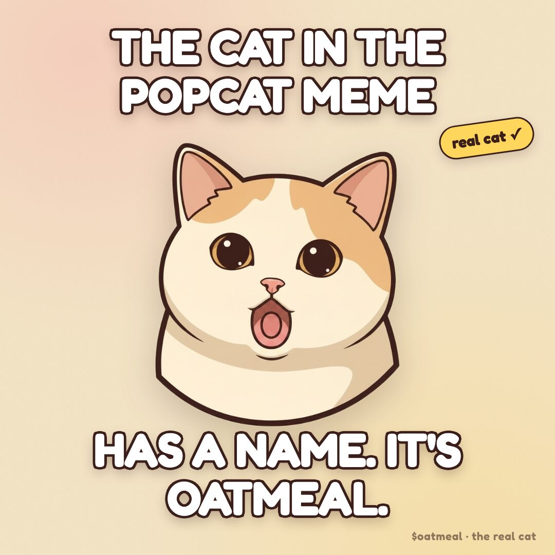 Oatmeal meme