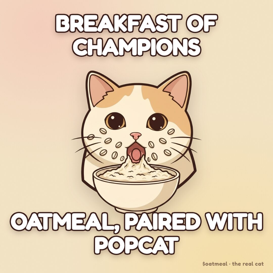 Oatmeal meme