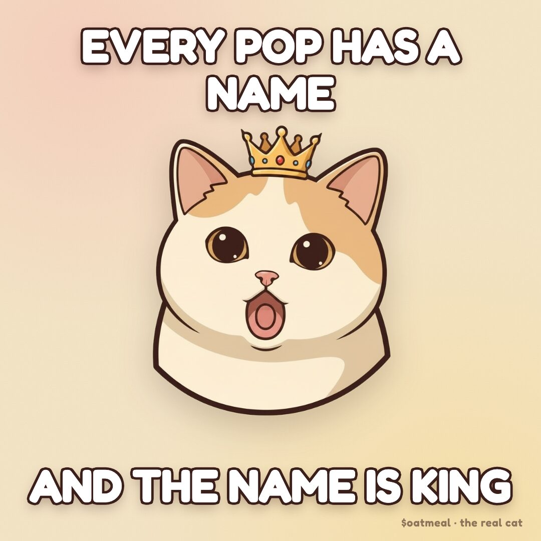 Oatmeal meme