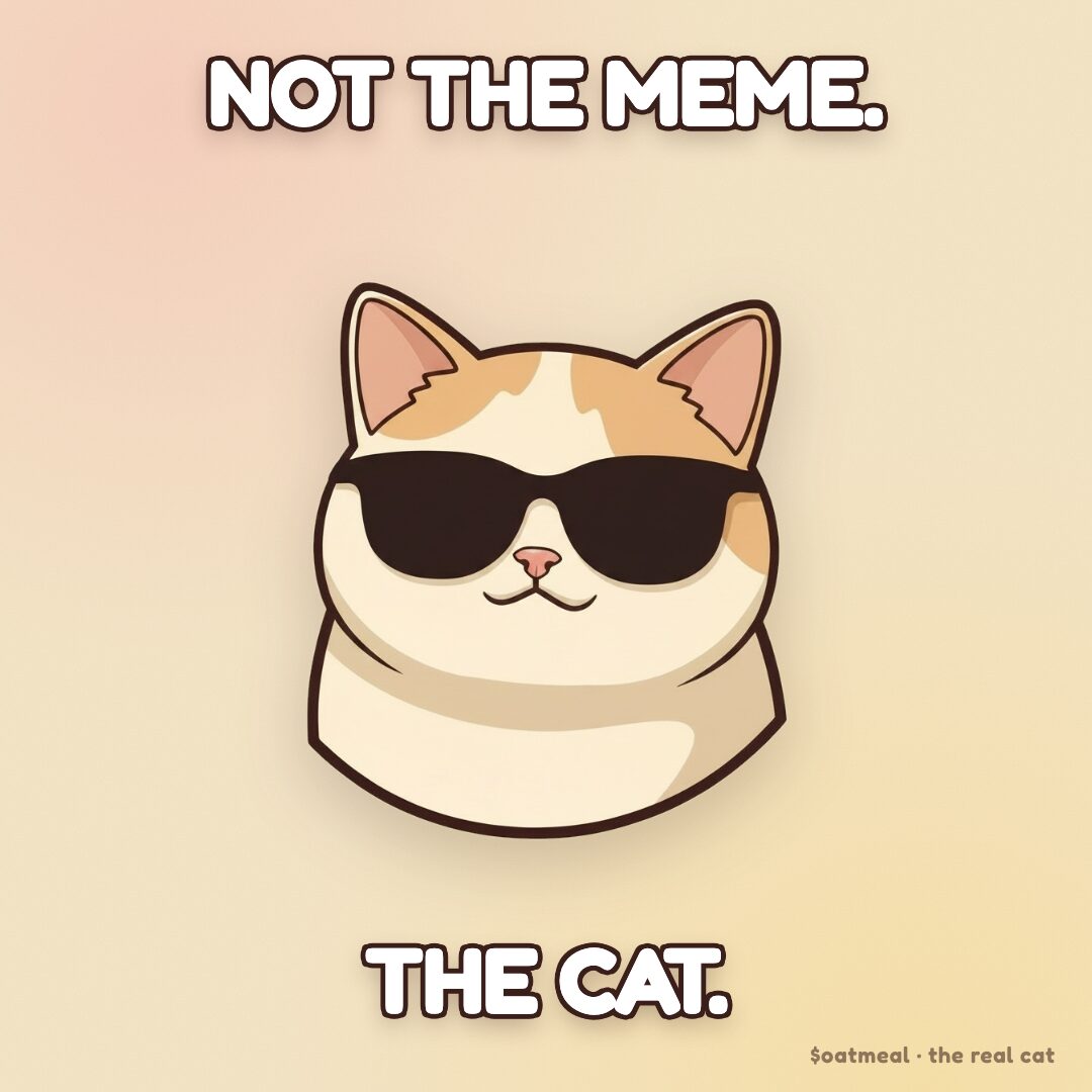 Oatmeal meme